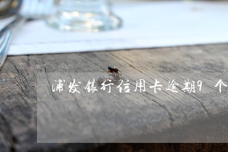 浦发银行信用卡逾期9个小时 浦发银行信用卡逾期9个小时