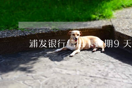 浦发银行信用卡逾期9天 浦发银行信用卡逾期9天