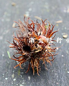 浦发银行信用卡逾期一天多少利息 浦发银行信用卡逾期一天多少利息