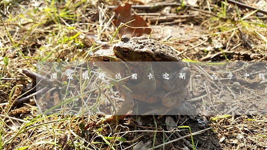 浦发银行信用卡逾期一天多少钱