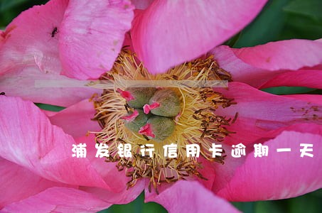浦发银行信用卡逾期一天打电话 浦发银行信用卡逾期一天打电话