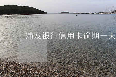 浦发银行信用卡逾期一天罚利息吗 浦发银行信用卡逾期一天罚利息吗
