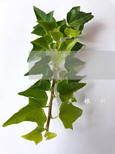 浦发银行信用卡逾期一年还多少 浦发银行信用卡逾期一年还多少