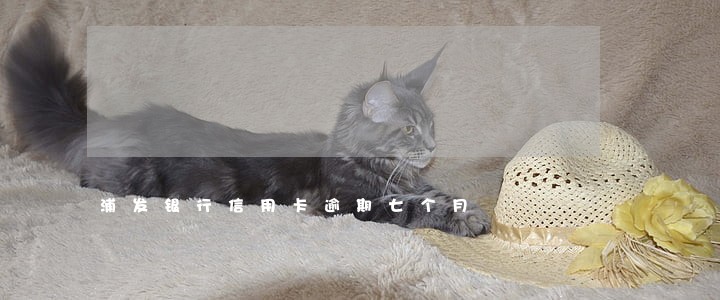 浦发银行信用卡逾期七个月 浦发银行信用卡逾期七个月