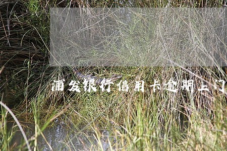 浦发银行信用卡逾期上门 浦发银行信用卡逾期上门