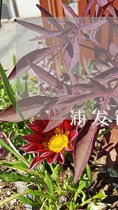 浦发银行信用卡逾期上门了 浦发银行信用卡逾期上门了