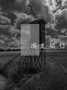 浦发银行信用卡逾期不能超过三期