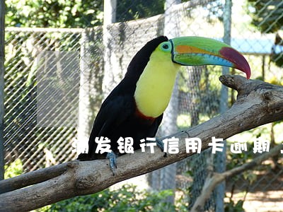 浦发银行信用卡逾期了会咋样 浦发银行信用卡逾期了会咋样