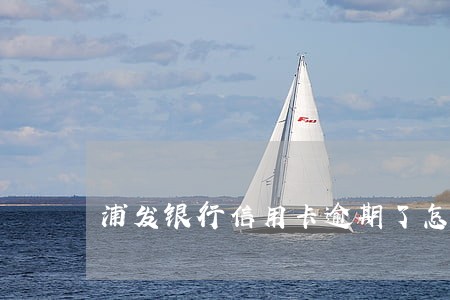 浦发银行信用卡逾期了怎么会冻结 浦发银行信用卡逾期了怎么会冻结