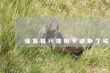 浦发银行信用卡逾期了报警