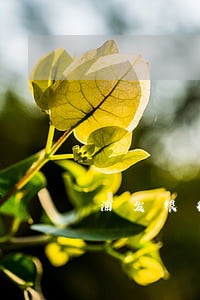 浦发银行信用卡逾期会打电话