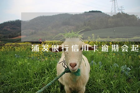 浦发银行信用卡逾期会起诉吗 浦发银行信用卡逾期会起诉吗