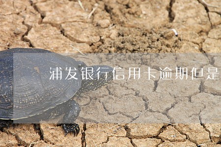 浦发银行信用卡逾期但是一直在 浦发银行信用卡逾期但是一直在