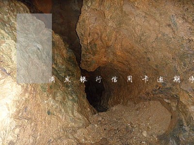 浦发银行信用卡逾期停息挂账