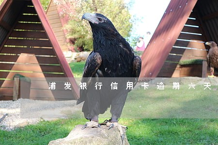 浦发银行信用卡逾期六天