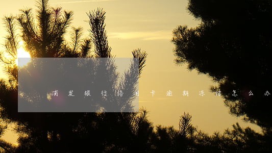 浦发银行信用卡逾期冻结怎么办 浦发银行信用卡逾期冻结怎么办