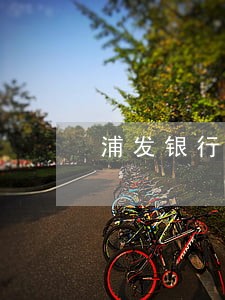 浦发银行信用卡逾期减免 浦发银行信用卡逾期减免