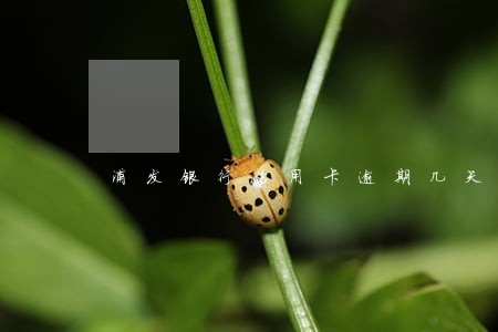 浦发银行信用卡逾期几天上征信 浦发银行信用卡逾期几天上征信