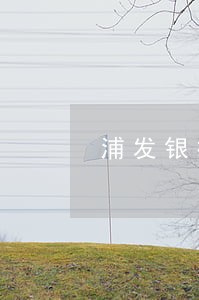 浦发银行信用卡逾期十几天 浦发银行信用卡逾期十几天