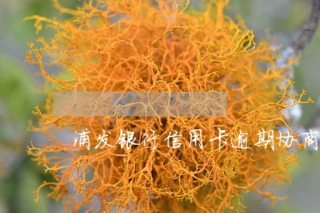 浦发银行信用卡逾期协商步骤 浦发银行信用卡逾期协商步骤