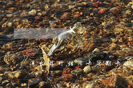 浦发银行信用卡逾期卡冻结 浦发银行信用卡逾期卡冻结