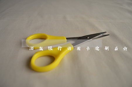 浦发银行信用卡逾期后会怎么样 浦发银行信用卡逾期后会怎么样