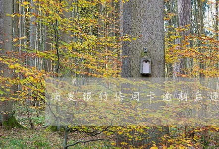 浦发银行信用卡逾期后还最低还款 浦发银行信用卡逾期后还最低还款