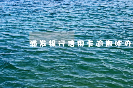 浦发银行信用卡逾期咋办 浦发银行信用卡逾期咋办
