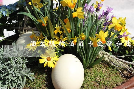 浦发银行信用卡逾期和违约金