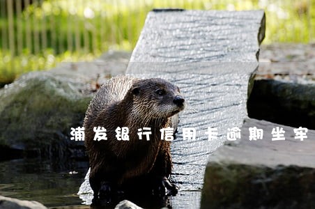 浦发银行信用卡逾期坐牢 浦发银行信用卡逾期坐牢