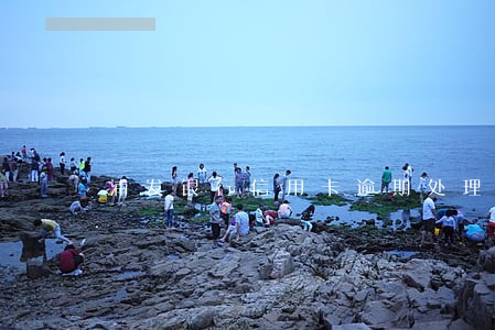 浦发银行信用卡逾期处理