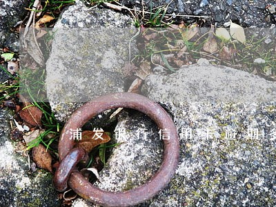 浦发银行信用卡逾期多久 浦发银行信用卡逾期多久