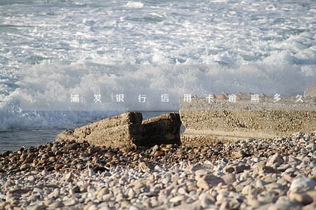 浦发银行信用卡逾期多久报案