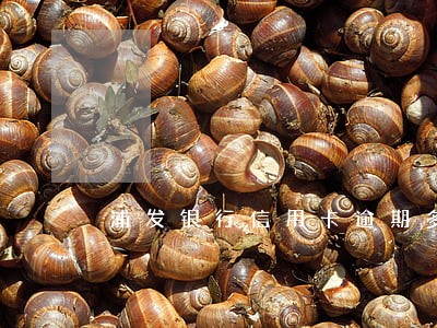 浦发银行信用卡逾期多少人