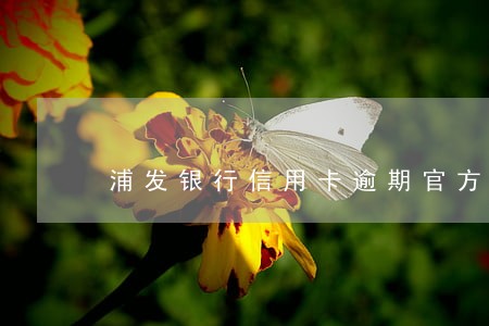浦发银行信用卡逾期官方电话 浦发银行信用卡逾期官方电话