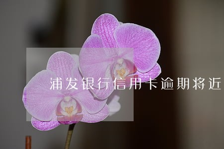 浦发银行信用卡逾期将近一年 浦发银行信用卡逾期将近一年