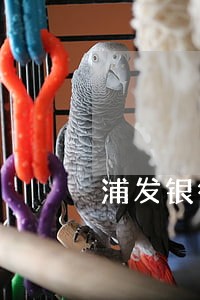 浦发银行信用卡逾期年化利率多少