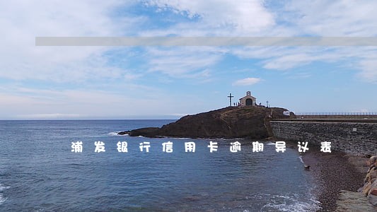 浦发银行信用卡逾期异议表