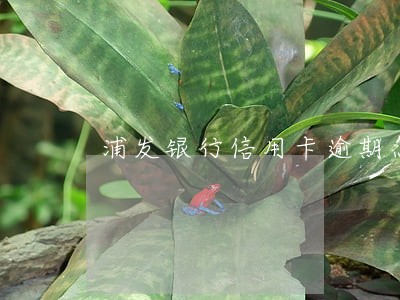 浦发银行信用卡逾期怎么减免利息 浦发银行信用卡逾期怎么减免利息
