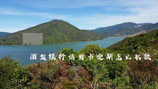 浦发银行信用卡逾期怎么取款