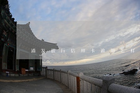 浦发银行信用卡逾期怎样办 浦发银行信用卡逾期怎样办