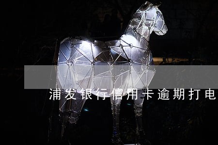 浦发银行信用卡逾期打电话 浦发银行信用卡逾期打电话