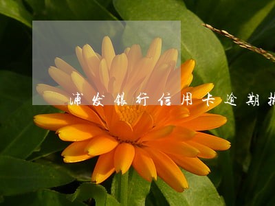 浦发银行信用卡逾期执行 浦发银行信用卡逾期执行