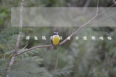 浦发银行信用卡逾期攻略 浦发银行信用卡逾期攻略