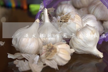 浦发银行信用卡逾期最低 浦发银行信用卡逾期最低