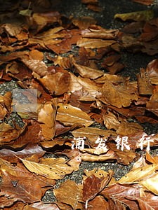 浦发银行信用卡逾期最低额度 浦发银行信用卡逾期最低额度
