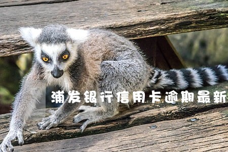 浦发银行信用卡逾期最新政策 浦发银行信用卡逾期最新政策