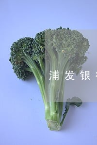 浦发银行信用卡逾期有什么影响 浦发银行信用卡逾期有什么影响