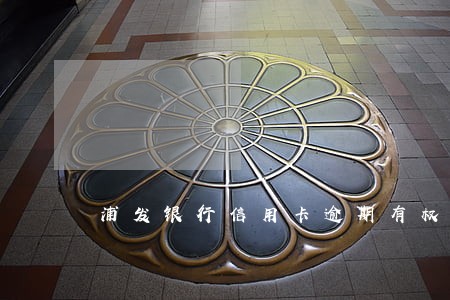 浦发银行信用卡逾期有权上门吗