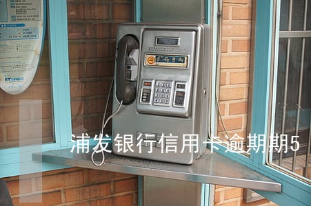 浦发银行信用卡逾期期5万